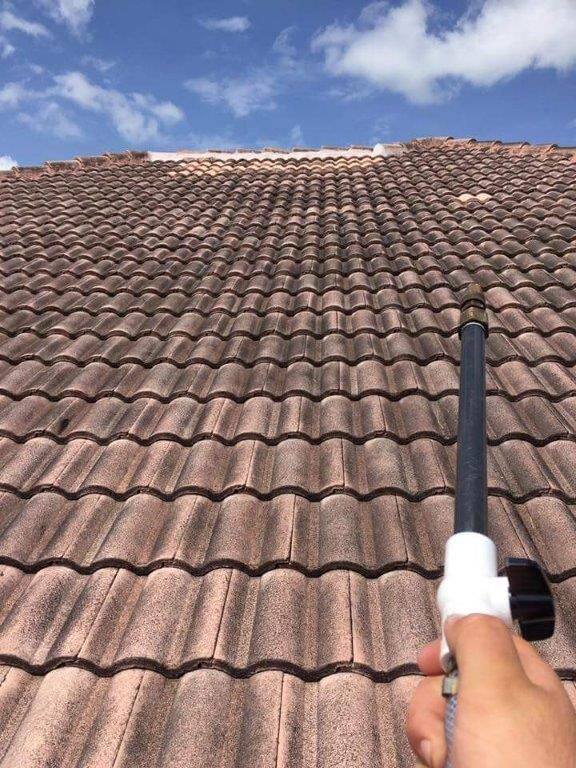 Roof Cleaning Services in Sutton MA